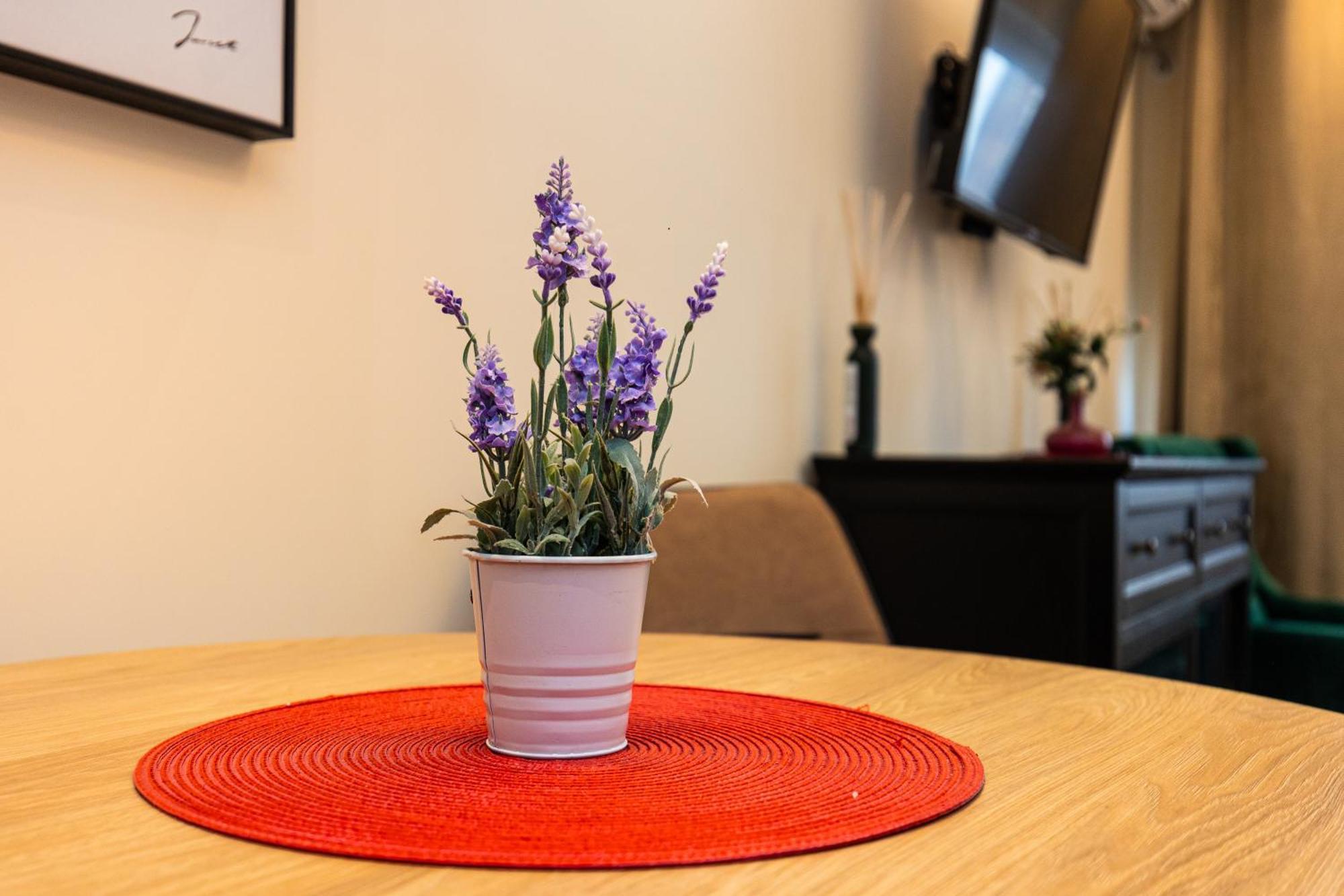 Apartment Mignon ベオグラード エクステリア 写真